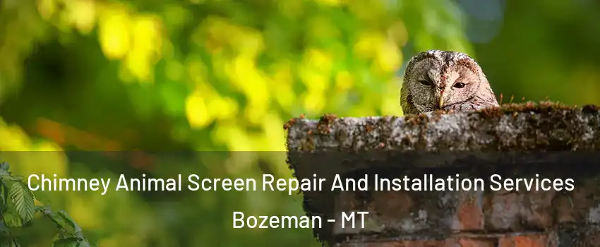  Chimney Animal Screen Repair And Installation Services Bozeman - MT