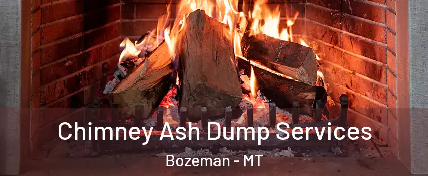  Chimney Ash Dump Services Bozeman - MT