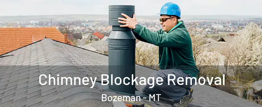  Chimney Blockage Removal Bozeman - MT