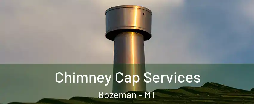  Chimney Cap Services Bozeman - MT
