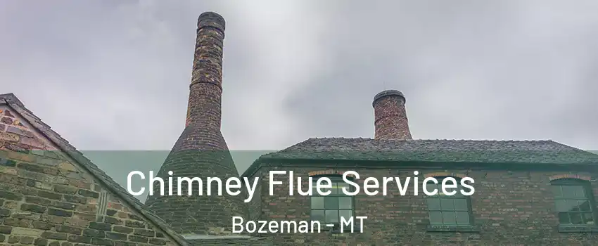  Chimney Flue Services Bozeman - MT