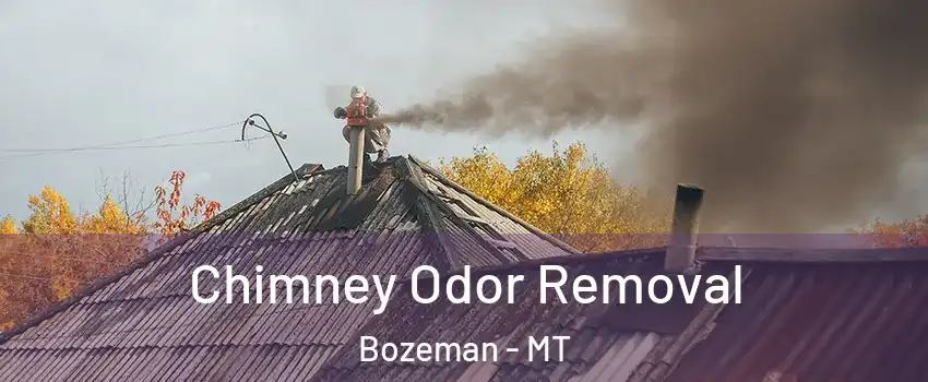  Chimney Odor Removal Bozeman - MT