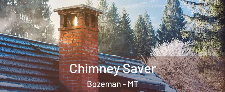  Chimney Saver Bozeman - MT
