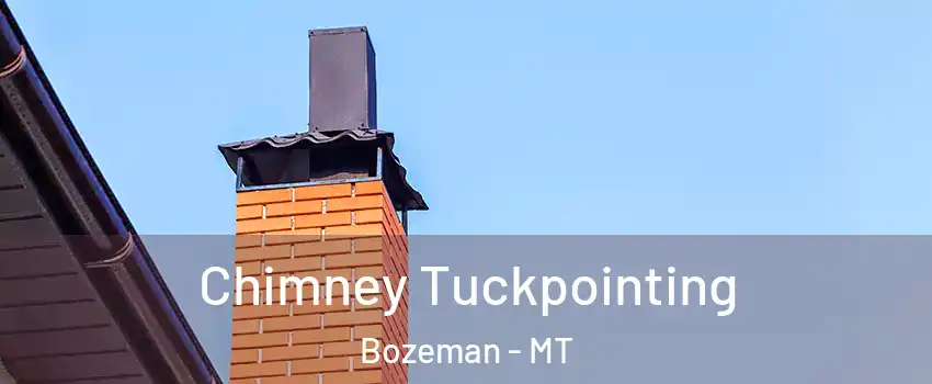  Chimney Tuckpointing Bozeman - MT