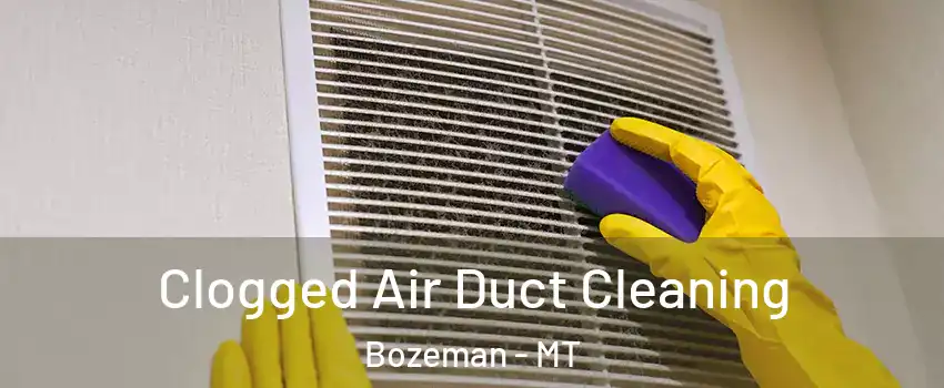  Clogged Air Duct Cleaning Bozeman - MT
