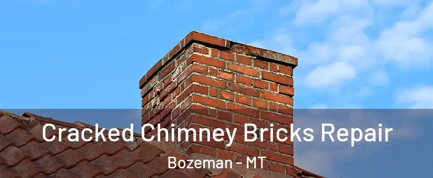  Cracked Chimney Bricks Repair Bozeman - MT
