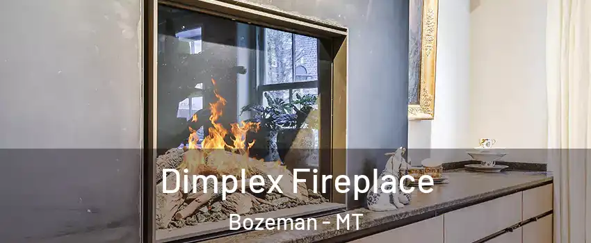  Dimplex Fireplace Bozeman - MT