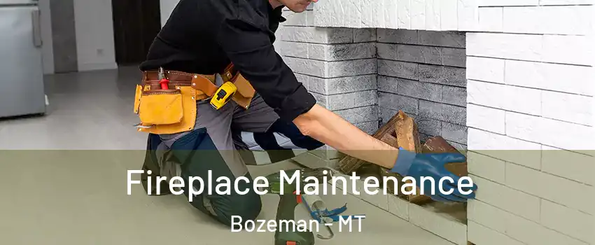  Fireplace Maintenance Bozeman - MT