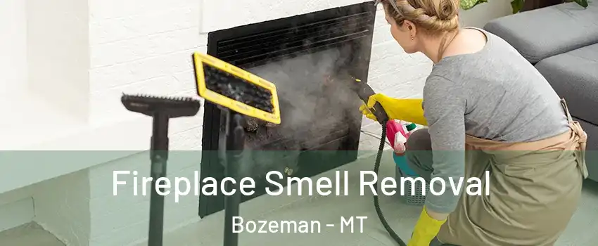  Fireplace Smell Removal Bozeman - MT