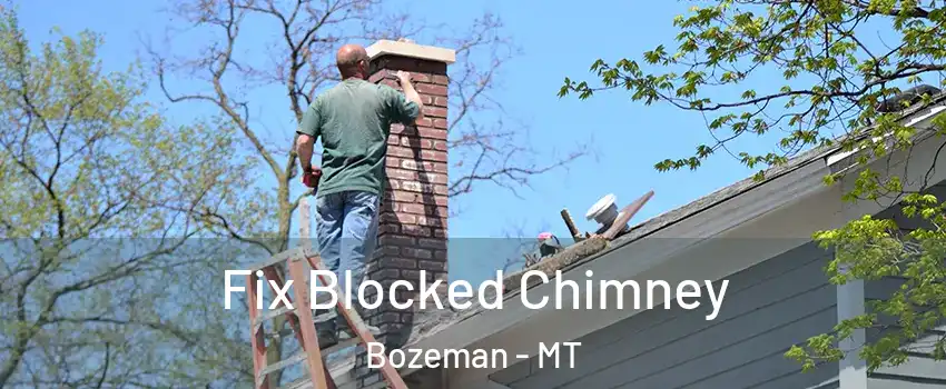  Fix Blocked Chimney Bozeman - MT