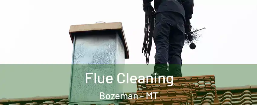  Flue Cleaning Bozeman - MT