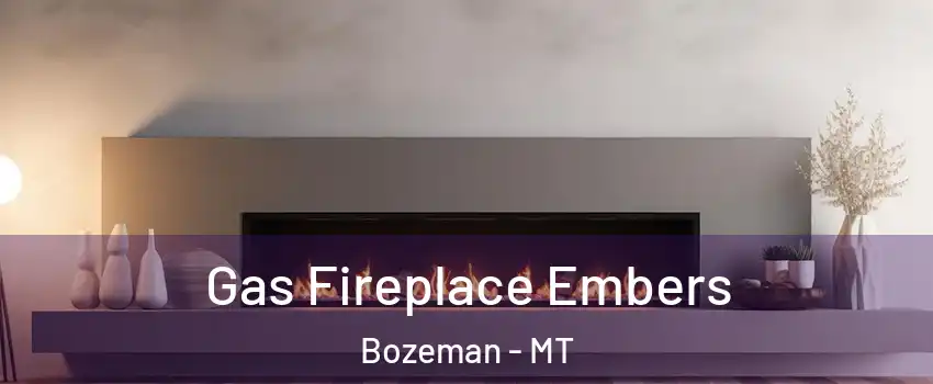  Gas Fireplace Embers Bozeman - MT