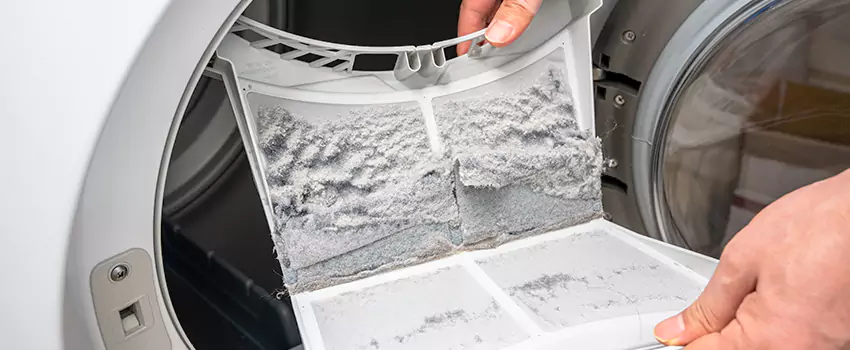 Best Dryer Lint Removal Company in Bozeman, Montana