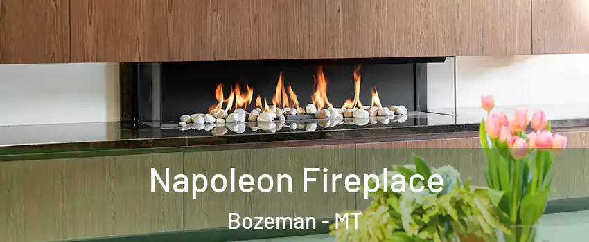  Napoleon Fireplace Bozeman - MT