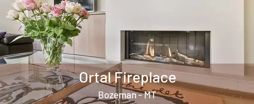 Ortal Fireplace Bozeman - MT
