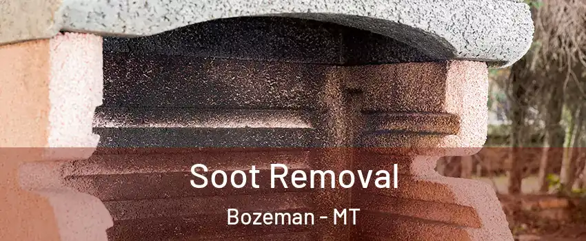  Soot Removal Bozeman - MT