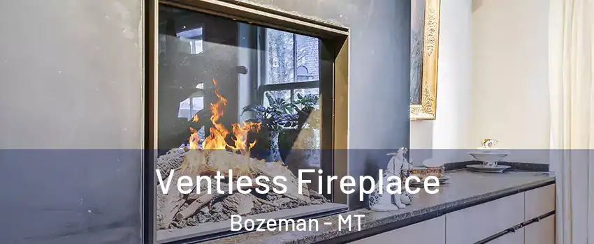  Ventless Fireplace Bozeman - MT